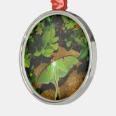 Giant Green Luna moth Metalen Ornament (Links)