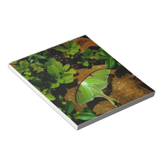 Giant Green Luna moth Notitieblok (Schuin)