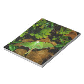 Giant Green Luna moth Notitieblok (Linkerzijde)