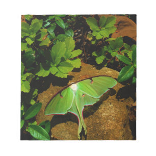 Giant Green Luna moth Notitieblok