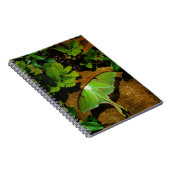 Giant Green Luna moth Notitieboek (Rechterzijde)