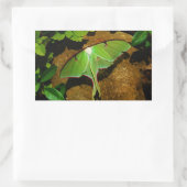 Giant Green Luna moth Rechthoekige Sticker (Tas)
