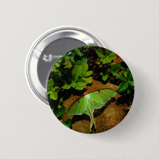 Giant Green Luna moth Ronde Button 5,7 Cm (Voorkant /achterkant)