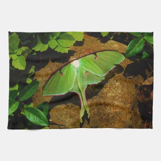 Giant Green Luna moth Theedoek (Horizontaal)