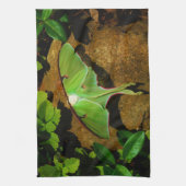 Giant Green Luna moth Theedoek (Verticaal)