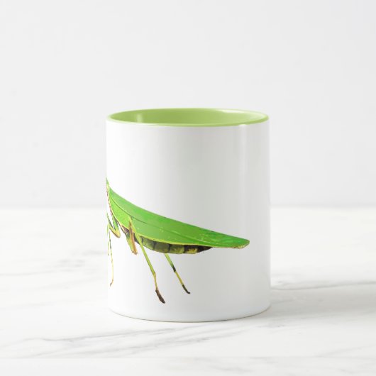 Giant Green Praying Mantis Basketball Mok (Midden)