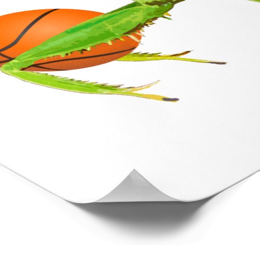 Giant Green Praying Mantis Basketball Poster (Hoek)