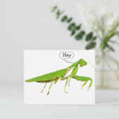 Giant Green Praying Mantis Briefkaart (Staand voorkant)
