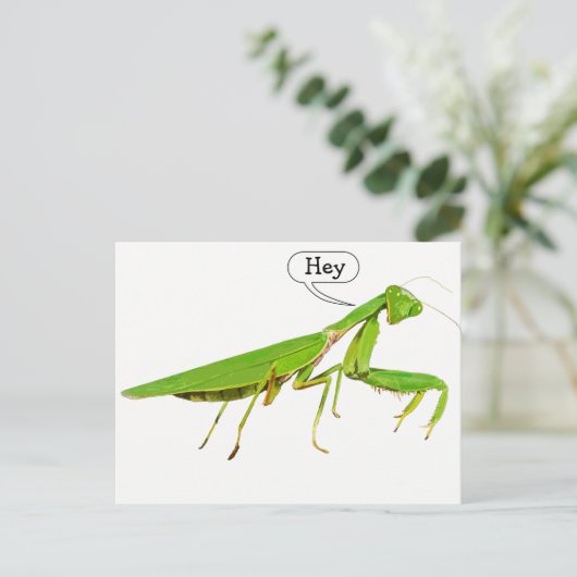 Giant Green Praying Mantis Briefkaart (Staand voorkant)