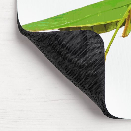 Giant Green Praying Mantis Muismat (Hoek)