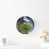 Giant Groundsel Or Dendrosenecio 2 Ronde Klok (Huis)