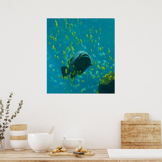 Giant Grouper Epinephelus Lanceolatus Poster (Keuken)