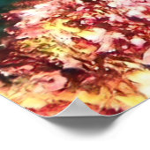 Giant Hawkfish-Galapagos Poster (Hoek)