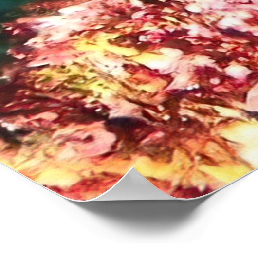 Giant Hawkfish-Galapagos Poster (Hoek)