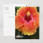 Giant Hibiscus Aloha briefkaart (Voorkant / Achterkant)
