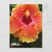 Giant Hibiscus Aloha briefkaart (Voorkant)