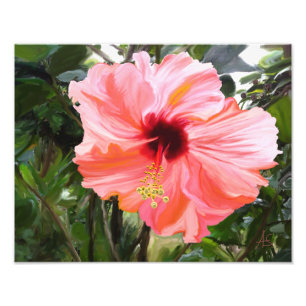 Giant Hibiscus Foto Afdruk