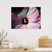 Giant Hibiscus Poster (Keuken)