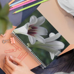 Giant Himalayan Lilies Floral Planner<br><div class="desc">Deze maandelijkse/wekelijkse kalender-planner houdt al uw toekomstige activiteiten en programma's georganiseerd in één handige plek en biedt een foto-afbeelding van trompetvormige,  witte Giant Himalayan Lily-bloemen met roodachtig-paarse centra. Een mooi,  bloemetjesontwerp! Selecteer uw plannerstijl en draadkleur.</div>
