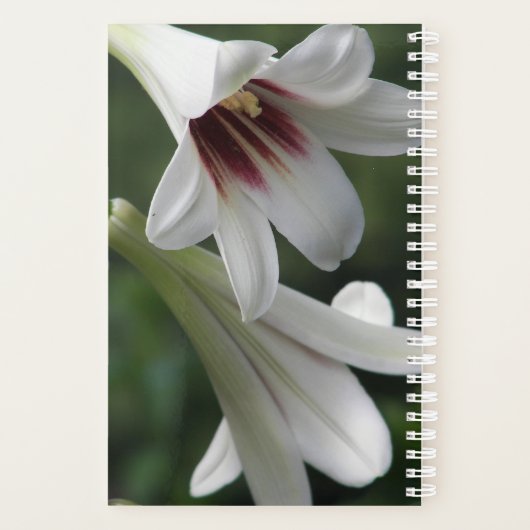 Giant Himalayan Lilies Floral Planner (Achterkant)