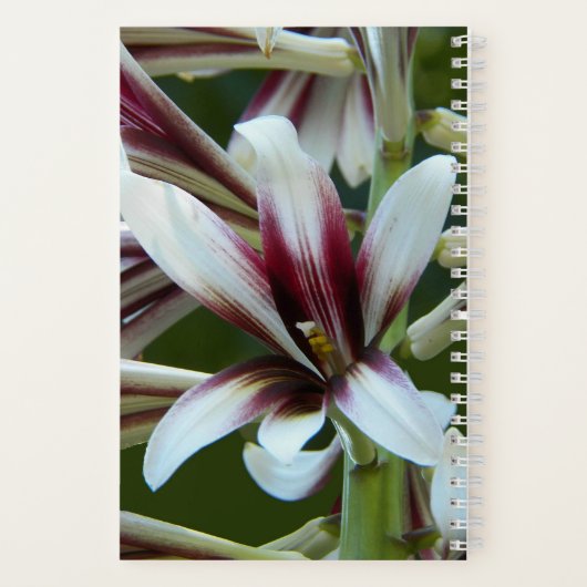 Giant Himalayan Lily Floral Notitieboek (Achterkant)