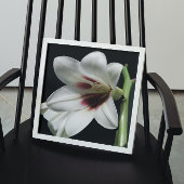 Giant Himalayan Lily Foto Glossy Perfect Poster