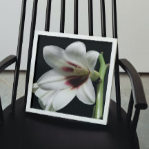 Giant Himalayan Lily Foto Glossy