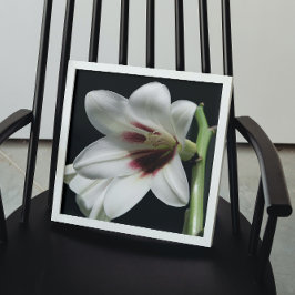 Giant Himalayan Lily Foto Glossy Perfect Poster