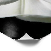 Giant Himalayan Lily Foto Glossy Perfect Poster (Hoek)