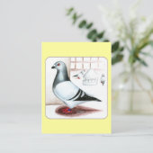 Giant Homer Pigeon 1973 Briefkaart (Staand voorkant)