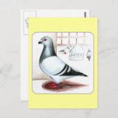 Giant Homer Pigeon 1973 Briefkaart (Voorkant / Achterkant)