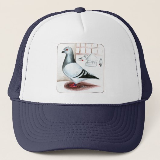 Giant Homer Pigeon 1973 Trucker Pet (Voorkant)