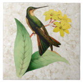 Giant Hummingbird Ceramic Tile Tegeltje (Voorkant)