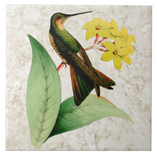 Giant Hummingbird Ceramic Tile Tegeltje