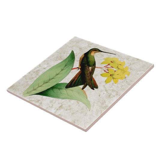 Giant Hummingbird Ceramic Tile Tegeltje (Zijkant)