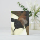 Giant Indian Fruit Bat Briefkaart (Staand voorkant)