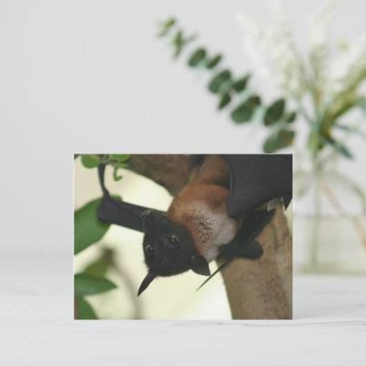 Giant Indian Fruit Bat Briefkaart (Staand voorkant)