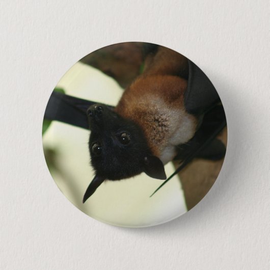 Giant Indian Fruit Bat Ronde Button 5,7 Cm (Voorkant)