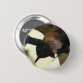 Giant Indian Fruit Bat Ronde Button 5,7 Cm (Voorkant /achterkant)