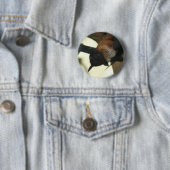 Giant Indian Fruit Bat Ronde Button 5,7 Cm (In situ)