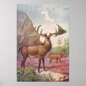 Giant Irish Deer Prehistorische Animals Antiek Pri Poster (Voorkant)
