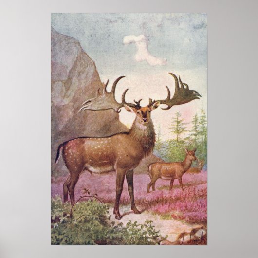 Giant Irish Deer Prehistorische Animals Antiek Pri Poster (Voorkant)