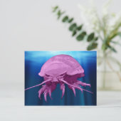 Giant Isopod Briefkaarten (Staand voorkant)