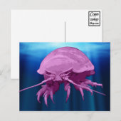 Giant Isopod Briefkaarten (Voorkant / Achterkant)
