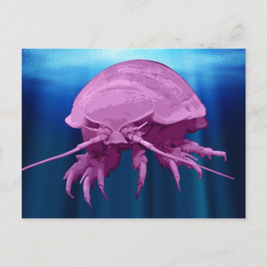 Giant Isopod Briefkaarten (Voorkant)