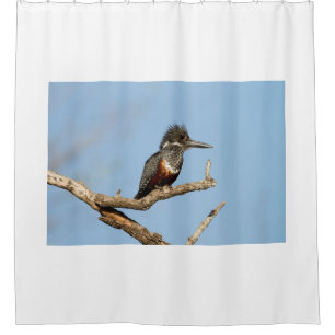 Giant Kingfisher Douchegordijn