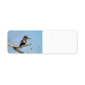 Giant Kingfisher Etiket (Voorkant)