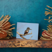 Giant Kingfisher Fotoplaat (Zijkant)