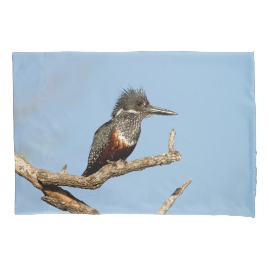 Giant Kingfisher Kussensloop (Voorkant)