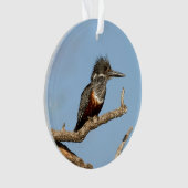 Giant Kingfisher Ornament (voorkant)